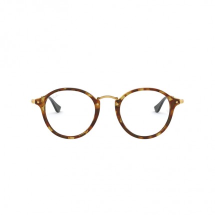 Ray-Ban RX2447V