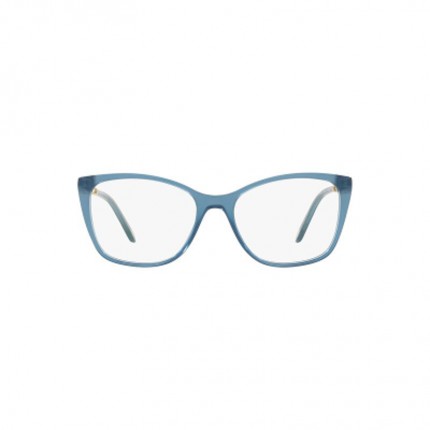 Tiffany & Co.TF2160-B