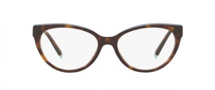 Tiffany & Co.TF2183