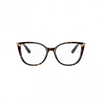 Bvlgari BV4196