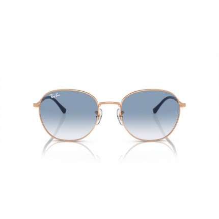 Ray-Ban  RB3809