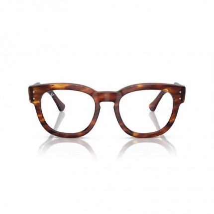 Ray-Ban RX0298V