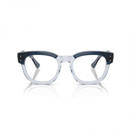 Ray-Ban RX0298V