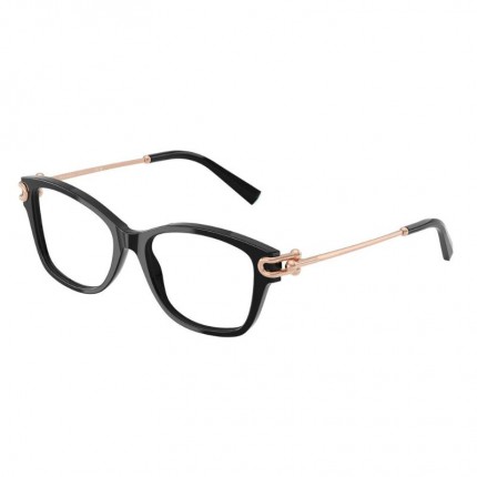 Tiffany & Co.TF2266