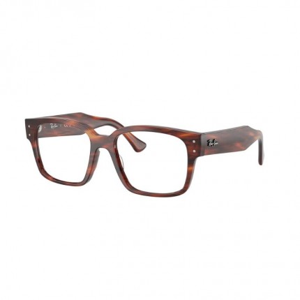 Ray-Ban RX7256