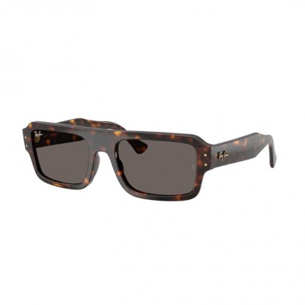 Ray-Ban RB4454